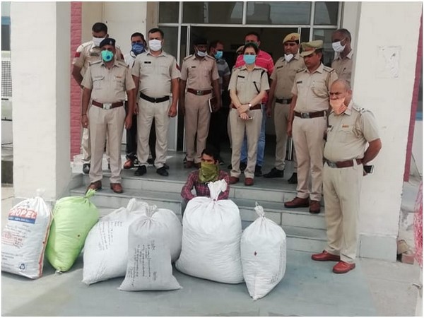 Haryana Police seized 200 kgs of Ganja in Hisar district. (Photo/ANI)