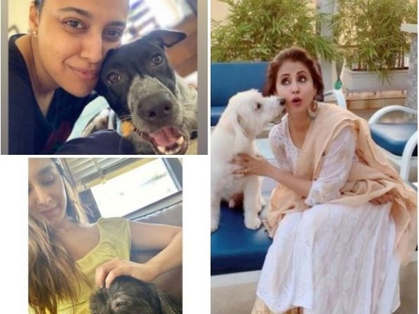 Pictures shared by Bollywood divas (Image courtesy: Instagram)