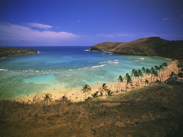 Hawaii, USA (representative image)