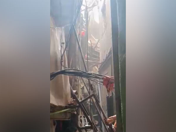 A visual of the collapsed building. (Photo/ANI)