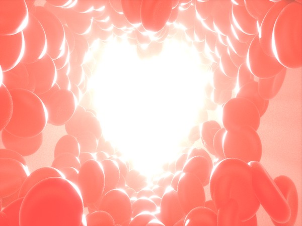 Heart red blood cells