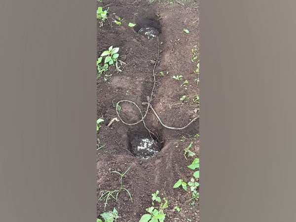 The two IEDs found inside the Swabhimaan Anchal. (Photo: Twitter @BSFODISHA)