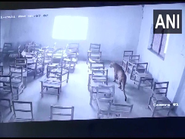 Leopard enters college classroom in Aligarh district (Photo/ANI)
