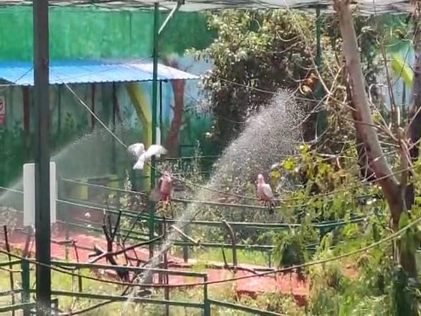 Kamala Nehru Zoological Museum arranges AC, water coolers for animals
