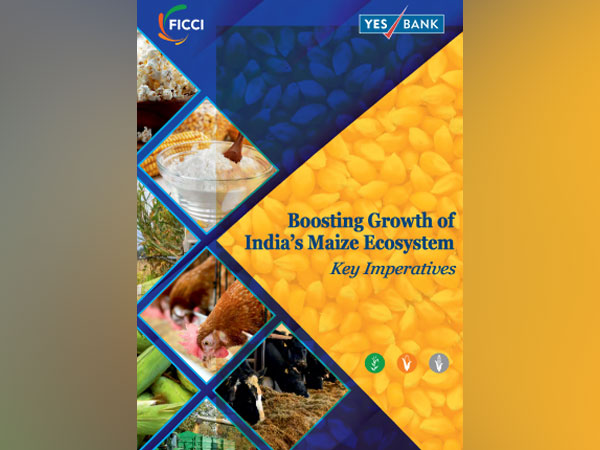 Maize production grew at 2.9 pc in the past one decade