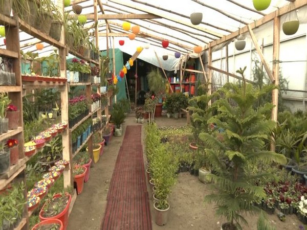 Visual from  a flower nursery in Jammu and Kashmir (Photo/ANI)