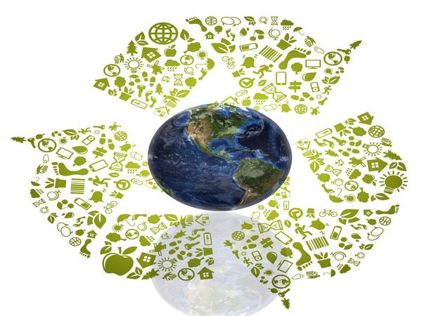 Cashew nut shells are a waste product in the cashew-farming community, especially in Tanzania.