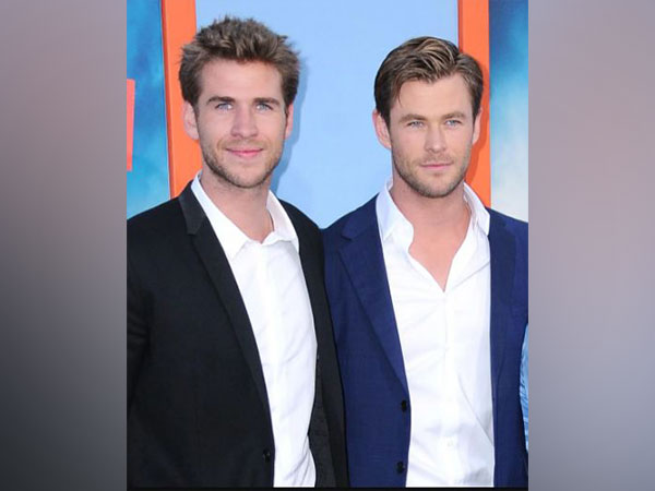 Liam Hemsworth, Chris Hemsworth (Image source: Instagram)