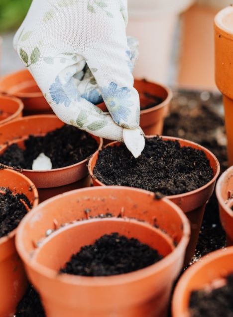 Get your garden ready for spring with these 5 simple tips