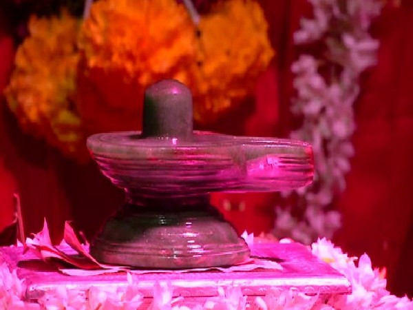 Pacche Linga put for darshan in Bandagadde Math on Vijayadashami. Photo/ANI