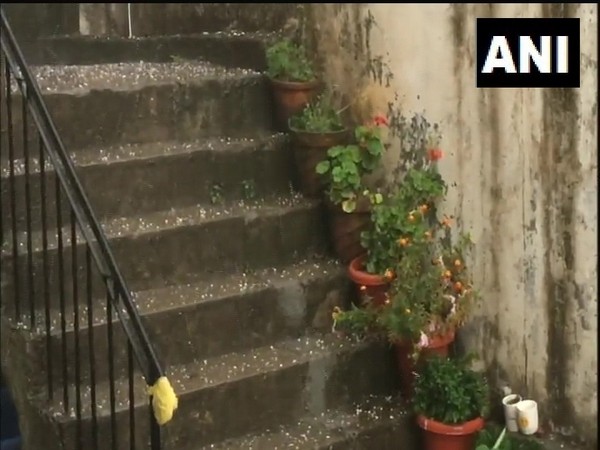 Dharamsala received hail accompanied by heavy rain on Saturday (Photo/ANI)