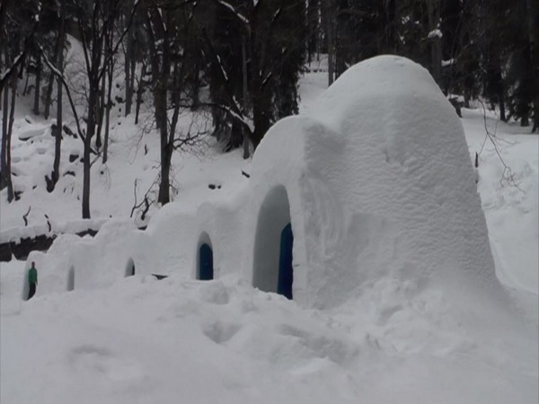 Igloo stay attracts tourists in Manali. Photo/ANI