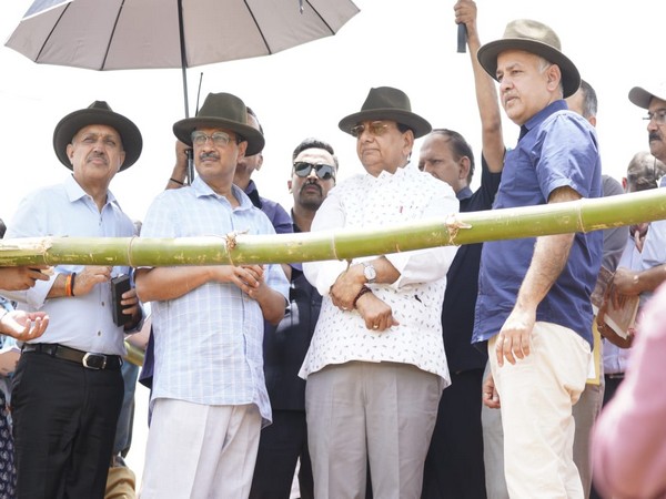 Delhi's Lieutenant Governor VK Saxena along with Delhi Chief Minister Arvind Kejriwal and Deputy Chief Minister Manish Sisodia visit Aravalli forest area (Photo/Delhi CMO)