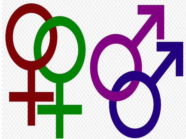 The new research analyses the attitudes towards homosexual men and women separately