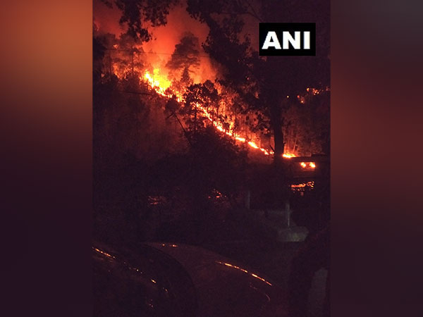 A visual from a forest fire in Jammu and Kashmir (Photo/ANI)