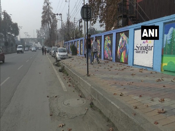 Graffiti artwork on Srinagar city walls 