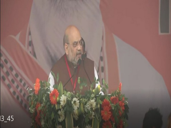 Union Home Minister Amit Shah (Photo/ ANI)