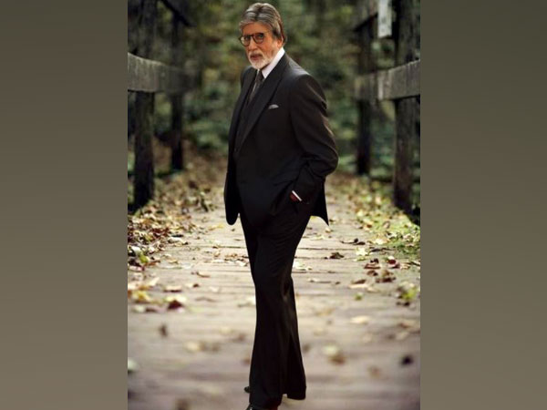 Amitabh Bachchan (Image source: Instagram)
