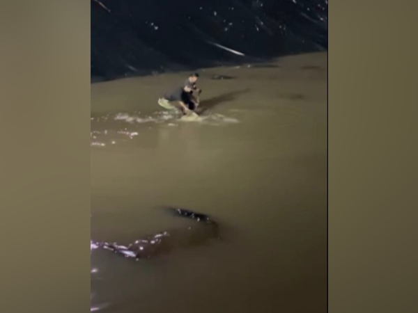 The crocodile being rescued (Photo/ANI)