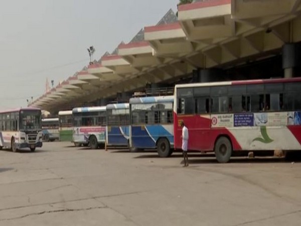 As many as 3,000 special buses have been introduced during the festive season in Hyderabad, Telangana. (Photo/ANI)