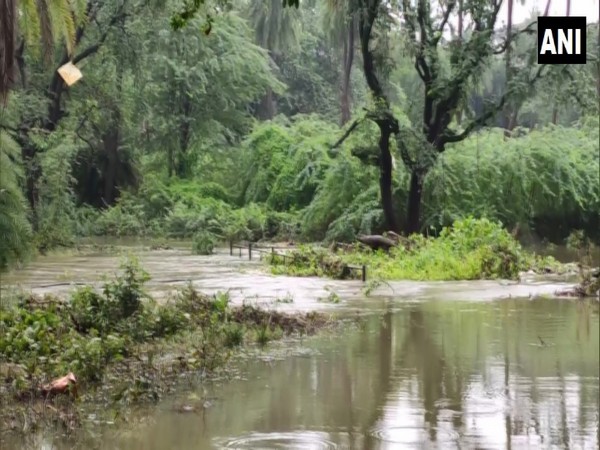 Nehru Zoological Park in Hyderabad sees waterlogging due to heavy rainfall. (Photo/ANI)