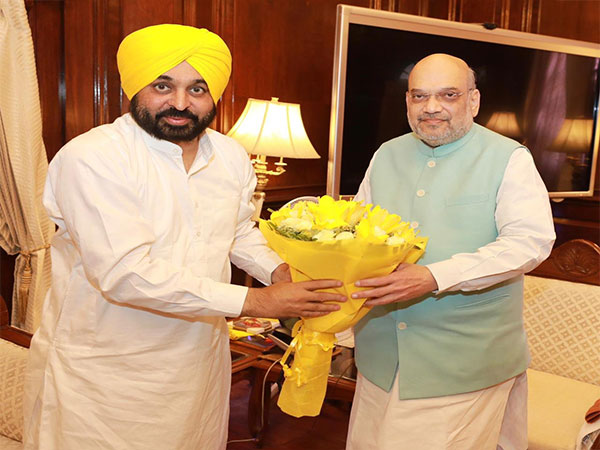 Punjab Chief Minister Bhagwant Mann meets Union Home Minister Amit Shah (Photo/Twitter)
