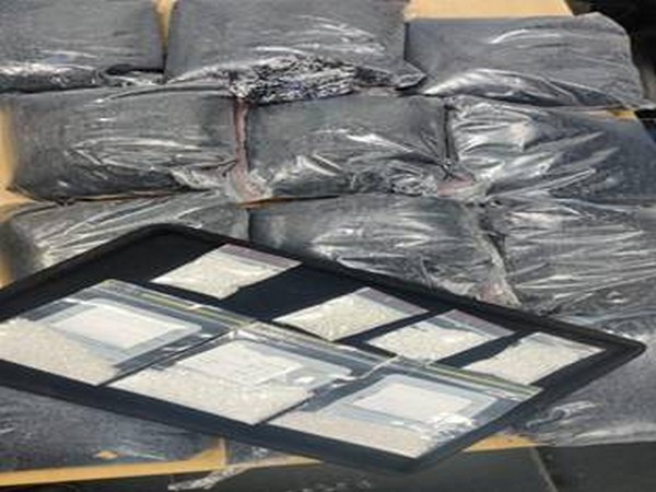 1082-carat diamonds were seized by Delhi Customs. (Photo/PIB)