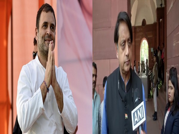 Rahul Gandhi and Shashi Tharoor called Pragya Thakur's Godse comment intentional. Photo/ANI