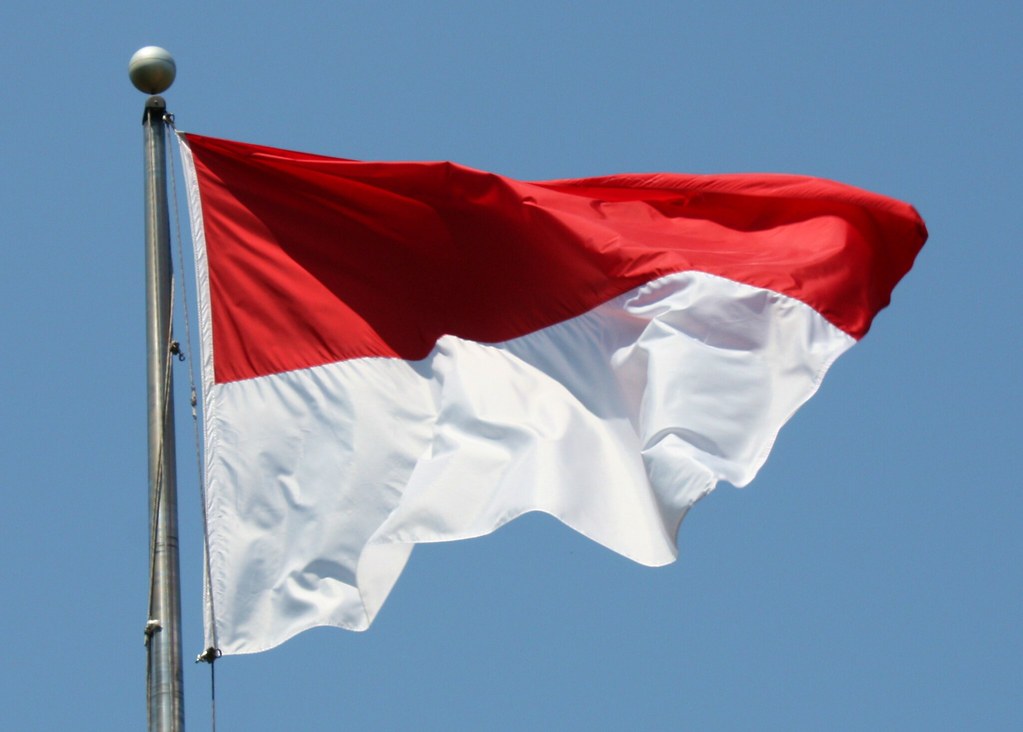 Flag of Indonesia (representative image)