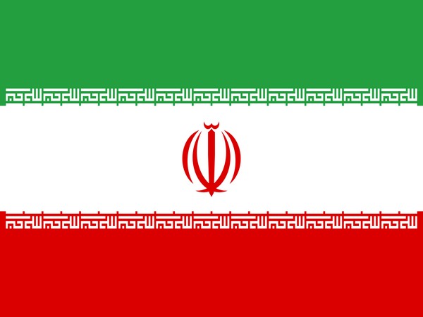 Iranian flags