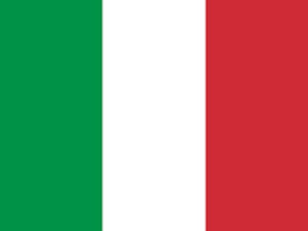 Flag of Italy (representative image)