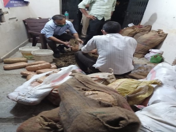 Ganja seized by SOG team in Rajasthan (Photo/ANI)