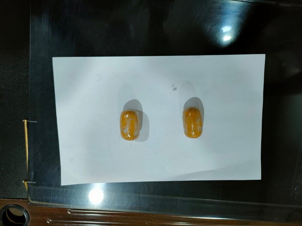 The seized gold capsules with the Customs in Jaipur airport.