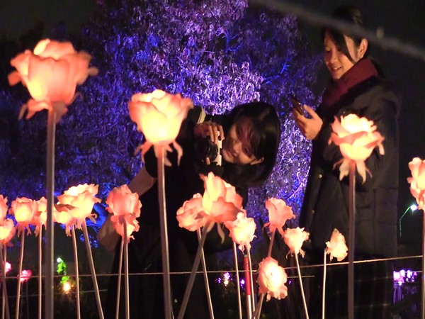 A visual from the night festival in Yokohama, Japan. Photo/ANI