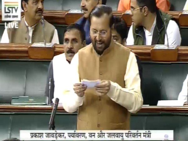 Union Minister Prakash Javadekar speaking in Lok Sabha on Friday.