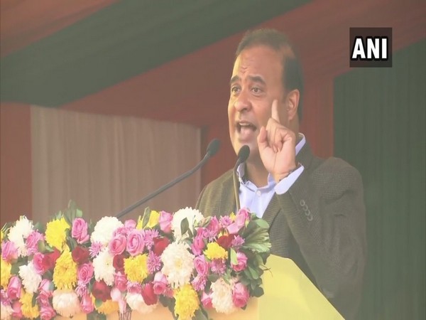 BJP leader Himanta Biswa Sarma (File photo)