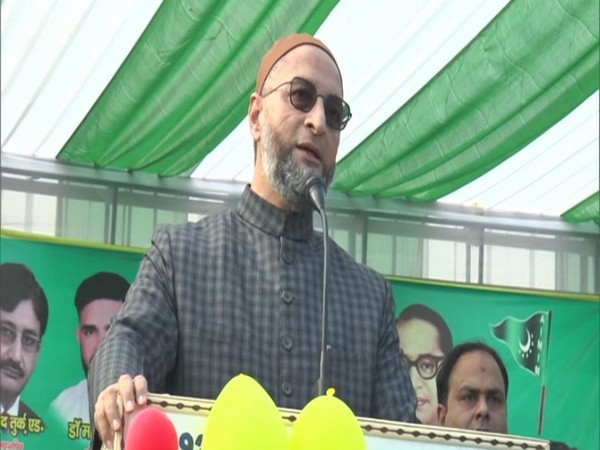 AIMIM chief Asaduddin Owaisi (file photo)