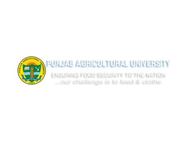 University Logo
