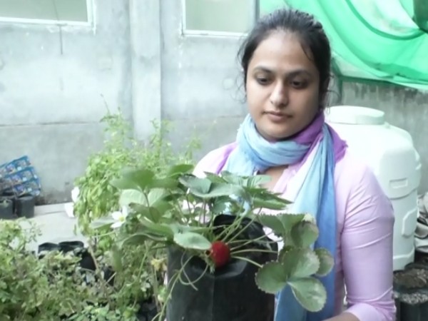 PM Narendra Modi appreciated Gurleen Chawla (in picture) from UP, for her contribution towards strawberry farming in the state, during his radio monthly programme 'Mann ki Baat'. (Photo/ ANI)