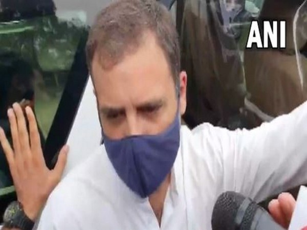 Congress leader Rahul Gandhi (ANI/Photo)