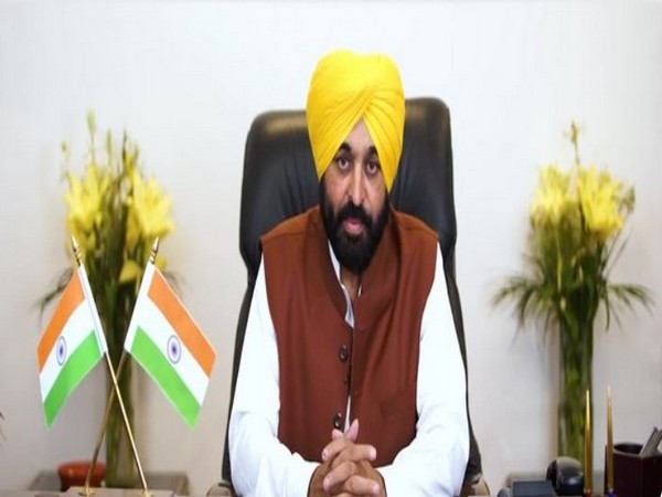 Punjab Chief Minister Bhagwant Mann. (File Photo)