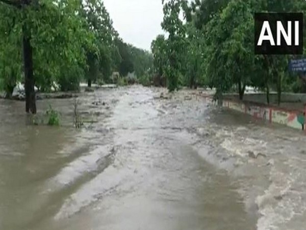 Visual from Gadchiroli district in Maharashtra (Photo/ANI)