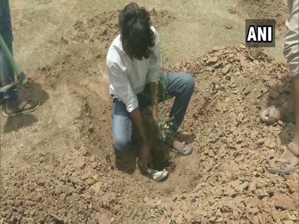 A volunteer planting a sapling in kalaburagi on Monday (photo/ANI)