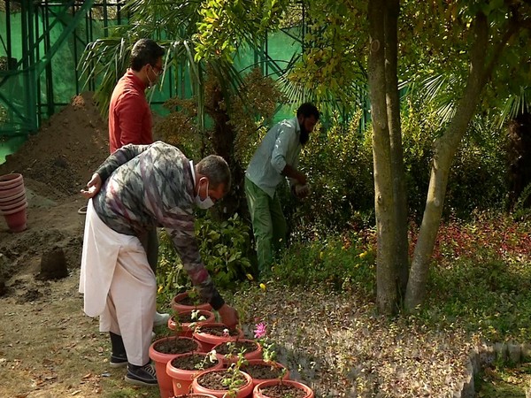 A visual from the plant introduction center in Srinagar. 