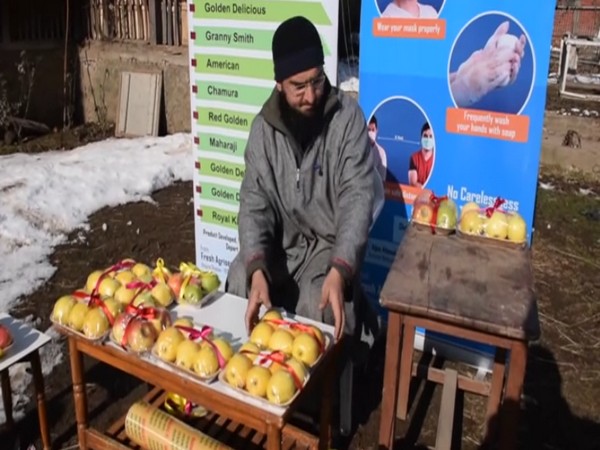 Adnan Ali Khan is selling around fifteen varieties of apples and selling to customers in packs having one to six apples.