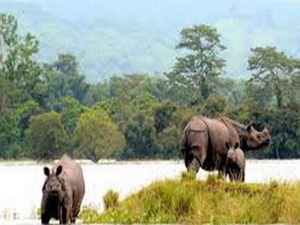 Kaziranga National Park. (ANI/file photo)