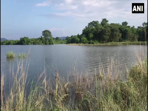 The Kaziranga National Park, Assam. (Photo/ANI)