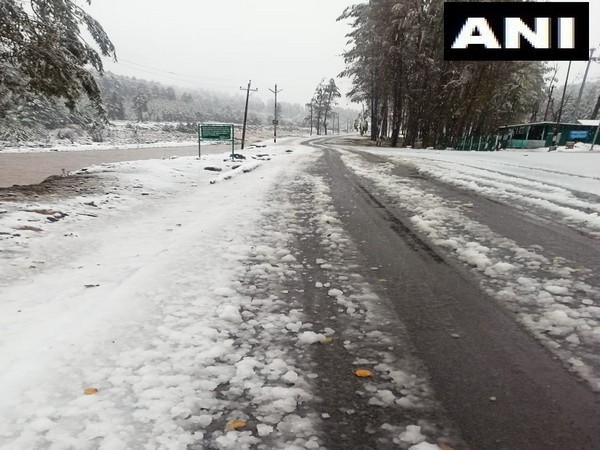 Visuals from Jammu (Photo/ANI)