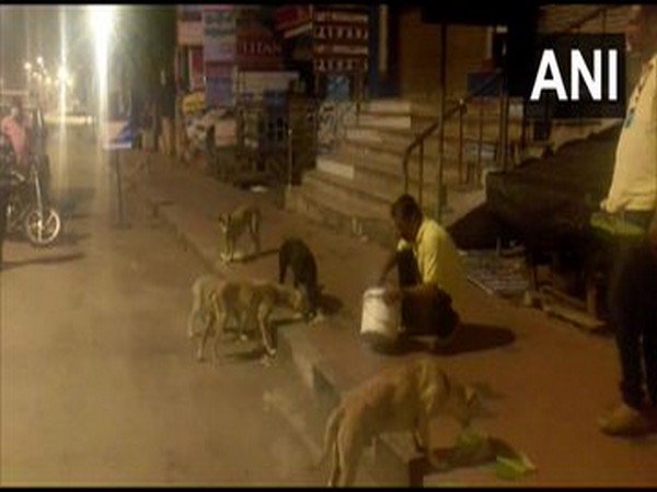 Volunteers of Trivandrum Kennel Club feeding stray dogs in the city. [Photo/ANI]