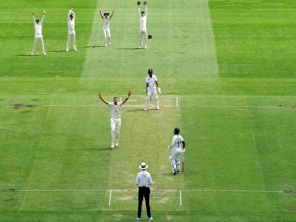ICC rates Brisbane pitch as 'below average' (Photo: ICC)